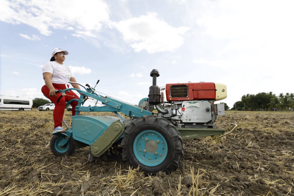 Acordo viabiliza caminho sustentável para agricultura familiar e agronegócio no RN