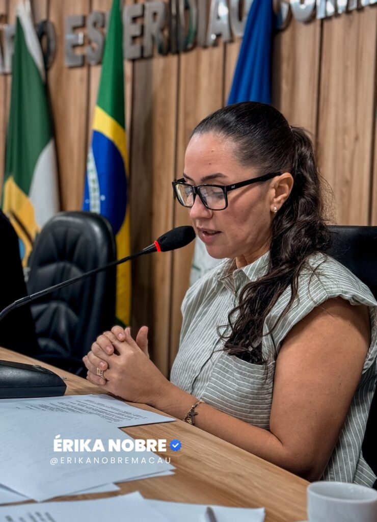 Mandato de Erika Nobre aposta em qualificação profissional para preparar trabalhadores de Macau para o mercado de energias renováveis